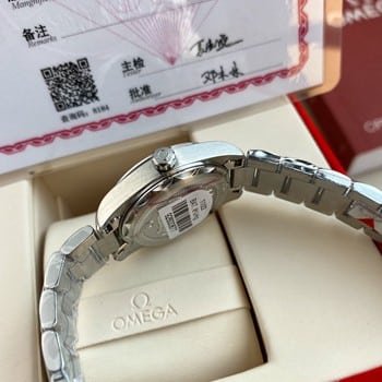 2011 Omega Discworld Elegance Men's Watch Strap: Worth and Texture Details