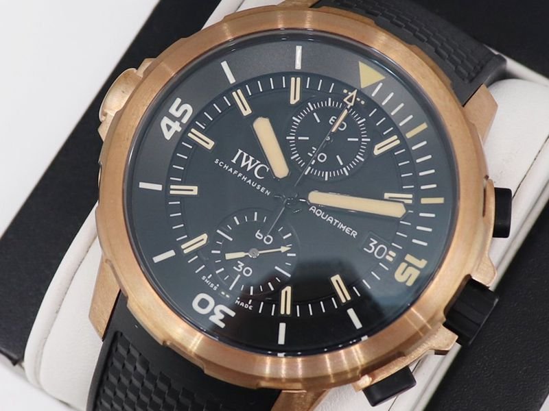 IWCsuper clone watch journey darwin adventure special edition watch front view