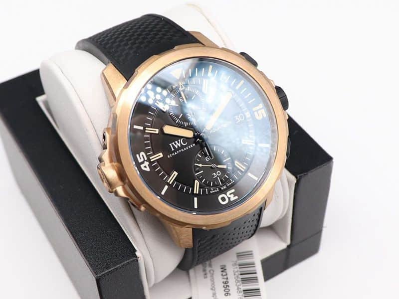 IWCsuper clone watch journey darwin adventure special edition watch front view