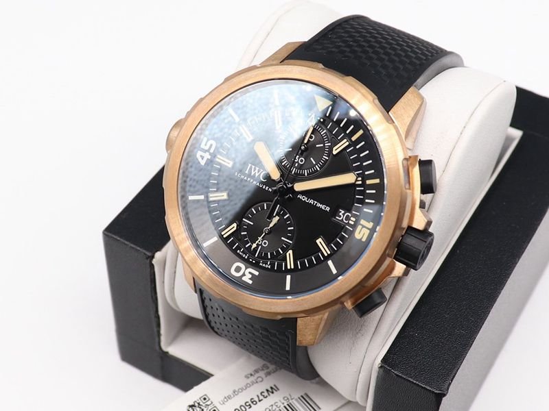 IWCsuper clone watch journey darwin adventure special edition watch front view
