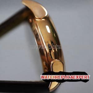 How to check the IWC watch model